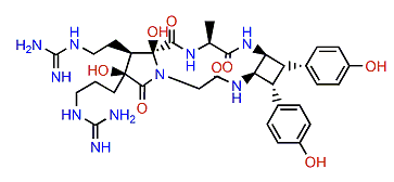 Cycloanchinopeptolide C